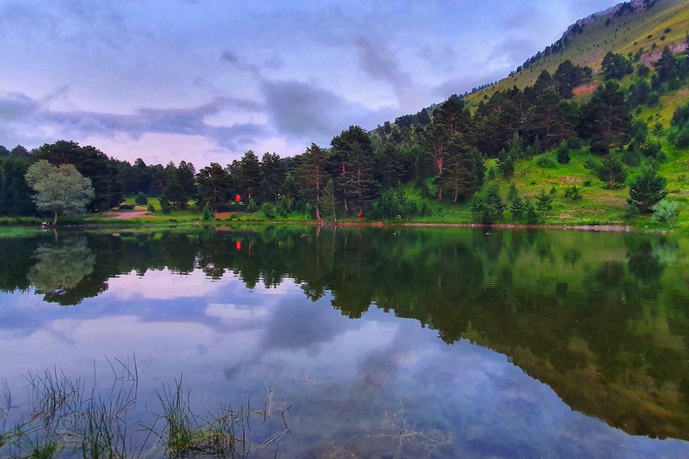 Altınpınar Limni Gölü Tabiat Parkı